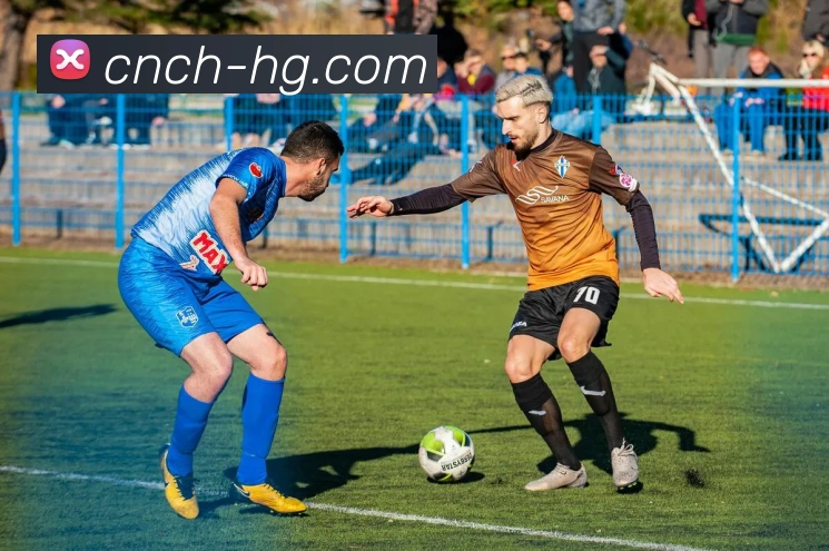 皇冠体育官网平台生态图